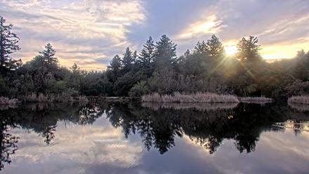Midpeninsula Regional Open Space Live Webcam - Feb 5, 2026, 5:00pm PST