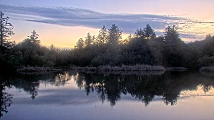 Midpeninsula Regional Open Space Live Webcam - Feb 26, 2026, 6:17pm PST