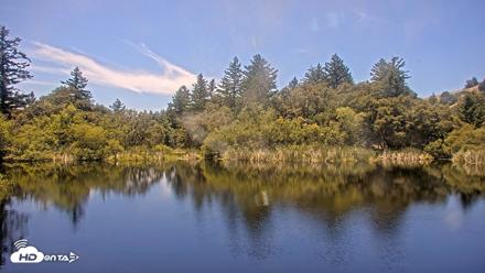 Midpeninsula Regional Open Space Live Webcam - Jun 7, 2026, 1:23pm PDT