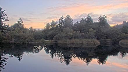 Midpeninsula Regional Open Space Live Webcam - Oct 22, 2025, 6:26pm PDT
