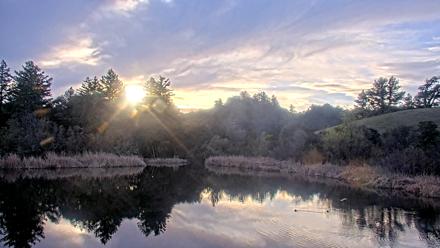 Midpeninsula Regional Open Space Live Webcam - Feb 5, 2026, 4:59pm PST