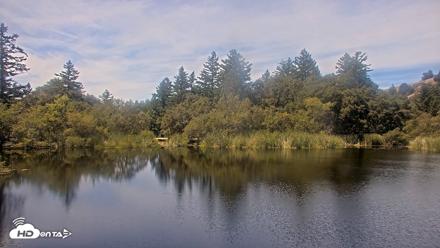 Midpeninsula Regional Open Space Live Webcam - Aug 20, 2026, 12:06pm PDT