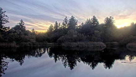 Midpeninsula Regional Open Space Live Webcam - Nov 10, 2025, 5:20pm PST