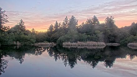 Midpeninsula Regional Open Space Live Webcam - Mar 27, 2026, 7:30pm PDT