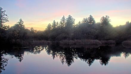 Midpeninsula Regional Open Space Live Webcam - Dec 3, 2025, 5:07pm PST