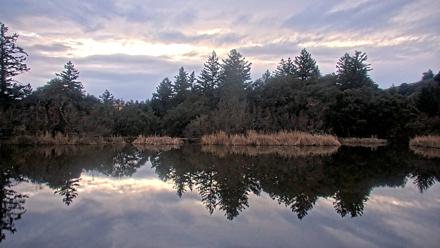 Midpeninsula Regional Open Space Live Webcam - Jan 21, 2026, 5:42pm PST