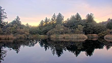 Midpeninsula Regional Open Space Live Webcam - Nov 11, 2025, 4:48pm PST