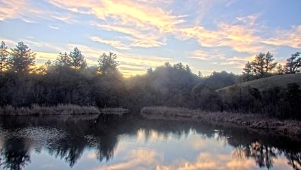 Midpeninsula Regional Open Space Live Webcam - Jan 19, 2026, 5:09pm PST