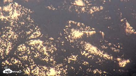 Midpeninsula Regional Open Space Live Webcam - Aug 19, 2026, 7:47pm PDT