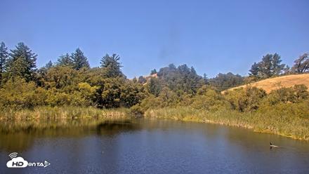 Midpeninsula Regional Open Space Live Webcam - Jul 15, 2026, 12:18pm PDT