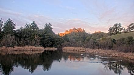 Midpeninsula Regional Open Space Live Webcam - Jan 17, 2026, 7:25am PST