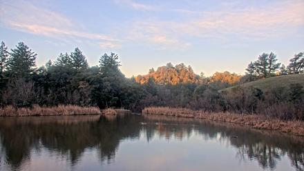 Midpeninsula Regional Open Space Live Webcam - Jan 8, 2026, 7:36am PST