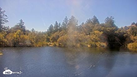 Midpeninsula Regional Open Space Live Webcam - Oct 15, 2026, 1:41pm PDT