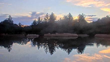 Midpeninsula Regional Open Space Live Webcam - Jan 17, 2026, 5:13pm PST