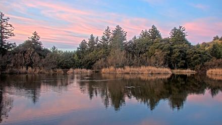 Midpeninsula Regional Open Space Live Webcam - Jan 17, 2026, 7:11am PST