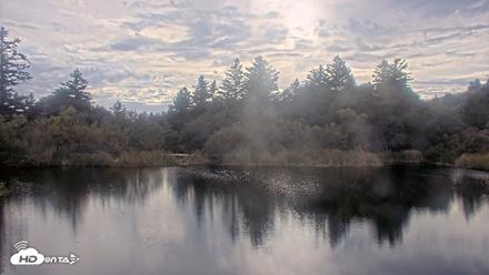 Midpeninsula Regional Open Space Live Webcam - Oct 20, 2026, 4:01pm PDT