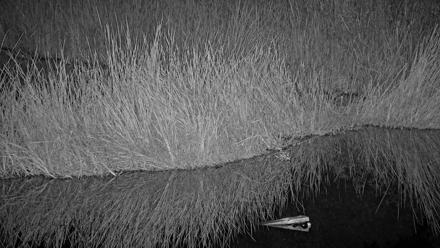 Midpeninsula Regional Open Space Live Webcam - Nov 11, 2025, 9:08pm PST