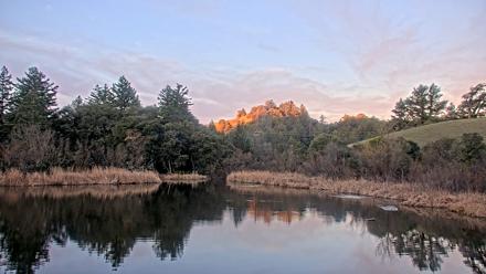 Midpeninsula Regional Open Space Live Webcam - Jan 17, 2026, 7:25am PST