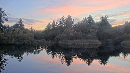 Midpeninsula Regional Open Space Live Webcam - Oct 22, 2025, 6:30pm PDT