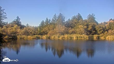 Midpeninsula Regional Open Space Live Webcam - Oct 6, 2026, 9:21am PDT
