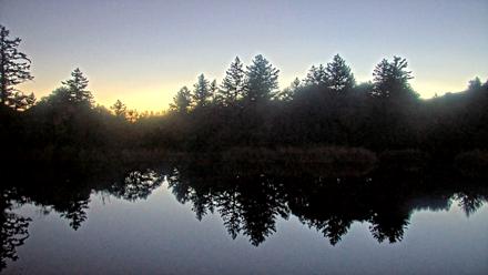 Midpeninsula Regional Open Space Live Webcam - Dec 13, 2025, 5:33pm PST