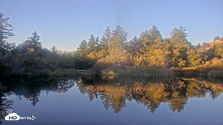 Midpeninsula Regional Open Space Live Webcam - Oct 17, 2026, 8:17am PDT