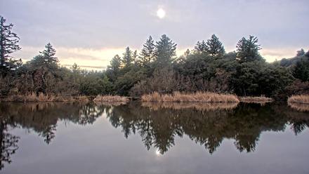 Midpeninsula Regional Open Space Live Webcam - Jan 20, 2026, 3:51pm PST