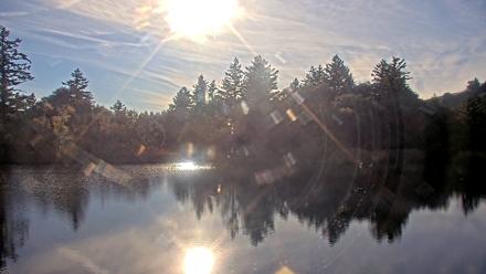 Midpeninsula Regional Open Space Live Webcam - Nov 30, 2025, 3:01pm PST