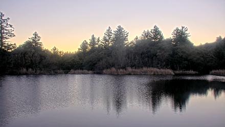 Midpeninsula Regional Open Space Live Webcam - Jan 13, 2026, 4:54pm PST