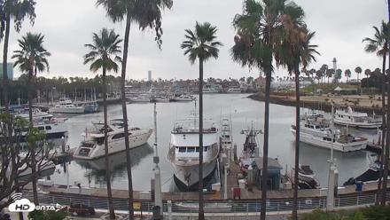 Long Beach Harbor Live Webcam - Jul 17, 2026, 7:56am PDT