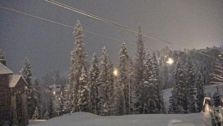 Mountain Lodge Telluride Live Webcam - Dec 3, 2025, 5:21am MST