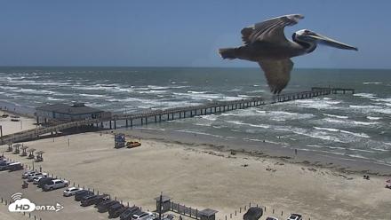 The Dunes - Port Aransas Live Beach Cam - May 16, 2026, 12:46pm CDT