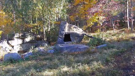 Ambassador Wolves Live Webcam at the Wolf Conservation Center - Oct 27, 2025, 10:15am EDT