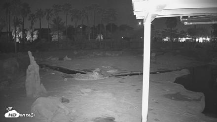 Reid Park Zoo Elephant Mudpit Live Webcam - Sep 5, 2026, 2:07am MST