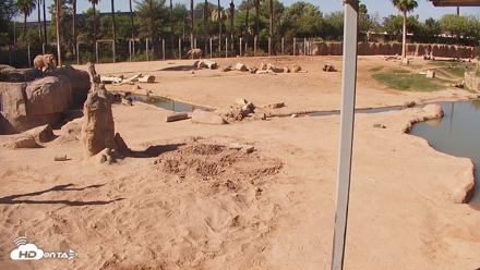 Reid Park Zoo Elephant Mudpit Live Webcam - Jun 8, 2026, 8:37am MST