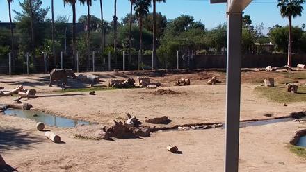 Reid Park Zoo Elephant Mudpit Live Webcam - Oct 29, 2025, 10:02am MST