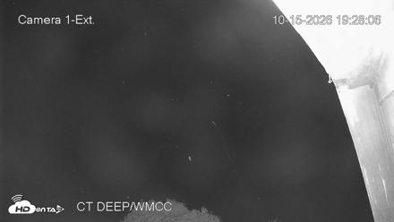 Connecticut Live Bat Webcams - Oct 15, 2026, 7:28pm EDT