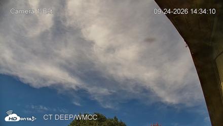 Connecticut Live Bat Webcams - Sep 24, 2026, 2:34pm EDT