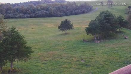 Virginia Elk Live Webcam - Oct 8, 2025, 5:09pm EDT