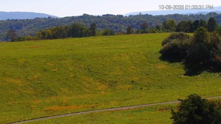Virginia Elk Live Webcam - Oct 9, 2025, 1:34pm EDT