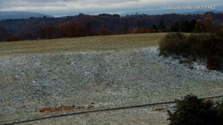 Virginia Elk Live Webcam - Nov 10, 2025, 7:00am EST
