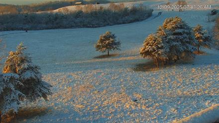 Virginia Elk Live Webcam - Dec 9, 2025, 7:45am EST