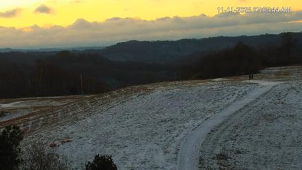 Virginia Elk Live Webcam - Nov 11, 2025, 7:06am EST