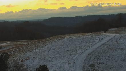 Virginia Elk Live Webcam - Nov 11, 2025, 6:57am EST