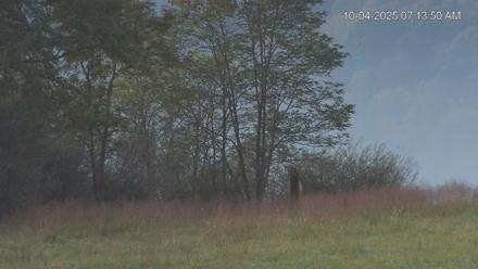 Virginia Elk Live Webcam - Oct 4, 2025, 7:15am EDT
