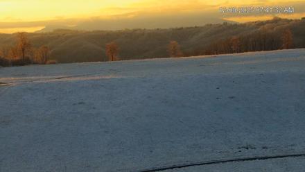 Virginia Elk Live Webcam - Dec 9, 2025, 7:42am EST