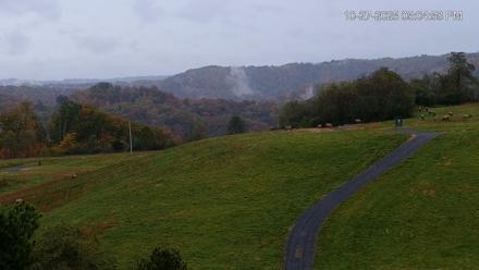 Virginia Elk Live Webcam - Oct 27, 2025, 5:05pm EDT