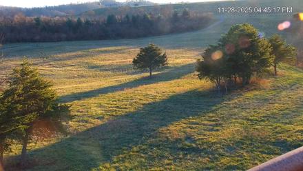 Virginia Elk Live Webcam - Nov 28, 2025, 4:45pm EST