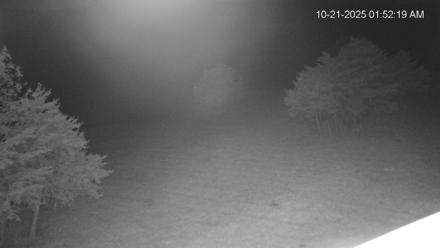 Virginia Elk Live Webcam - Oct 21, 2025, 1:53am EDT