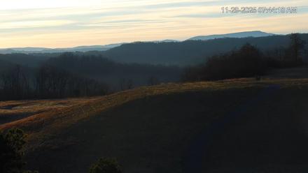 Virginia Elk Live Webcam - Nov 29, 2025, 7:44am EST
